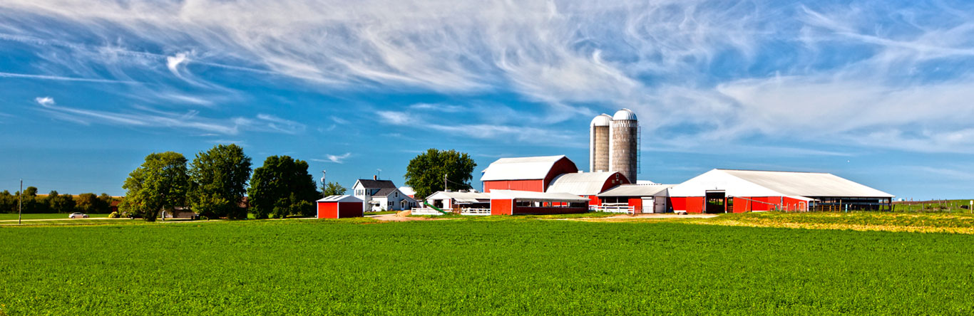 Farm with red barns and green fields