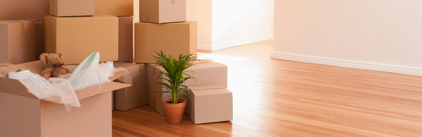 moving boxes in an empty house